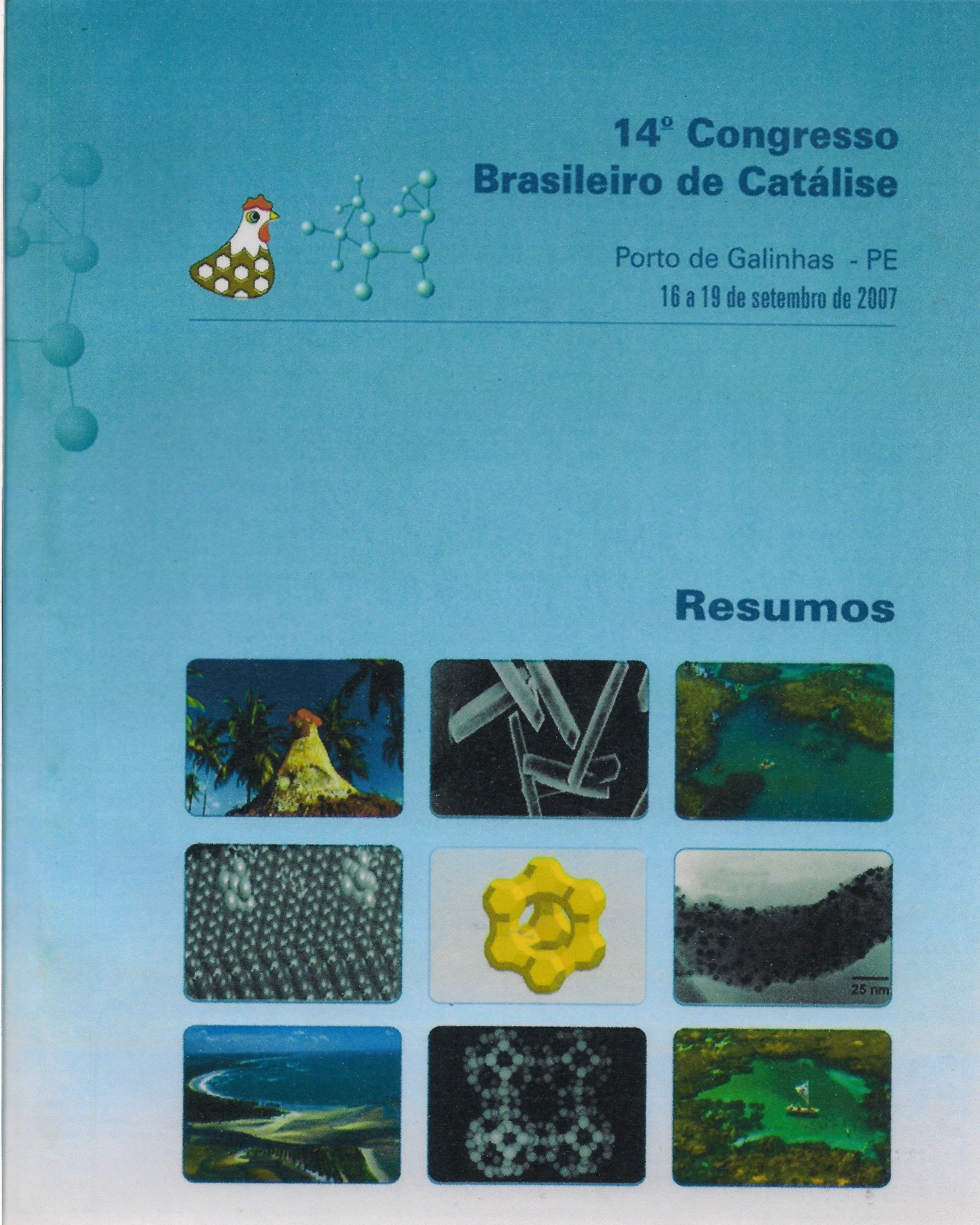 2007